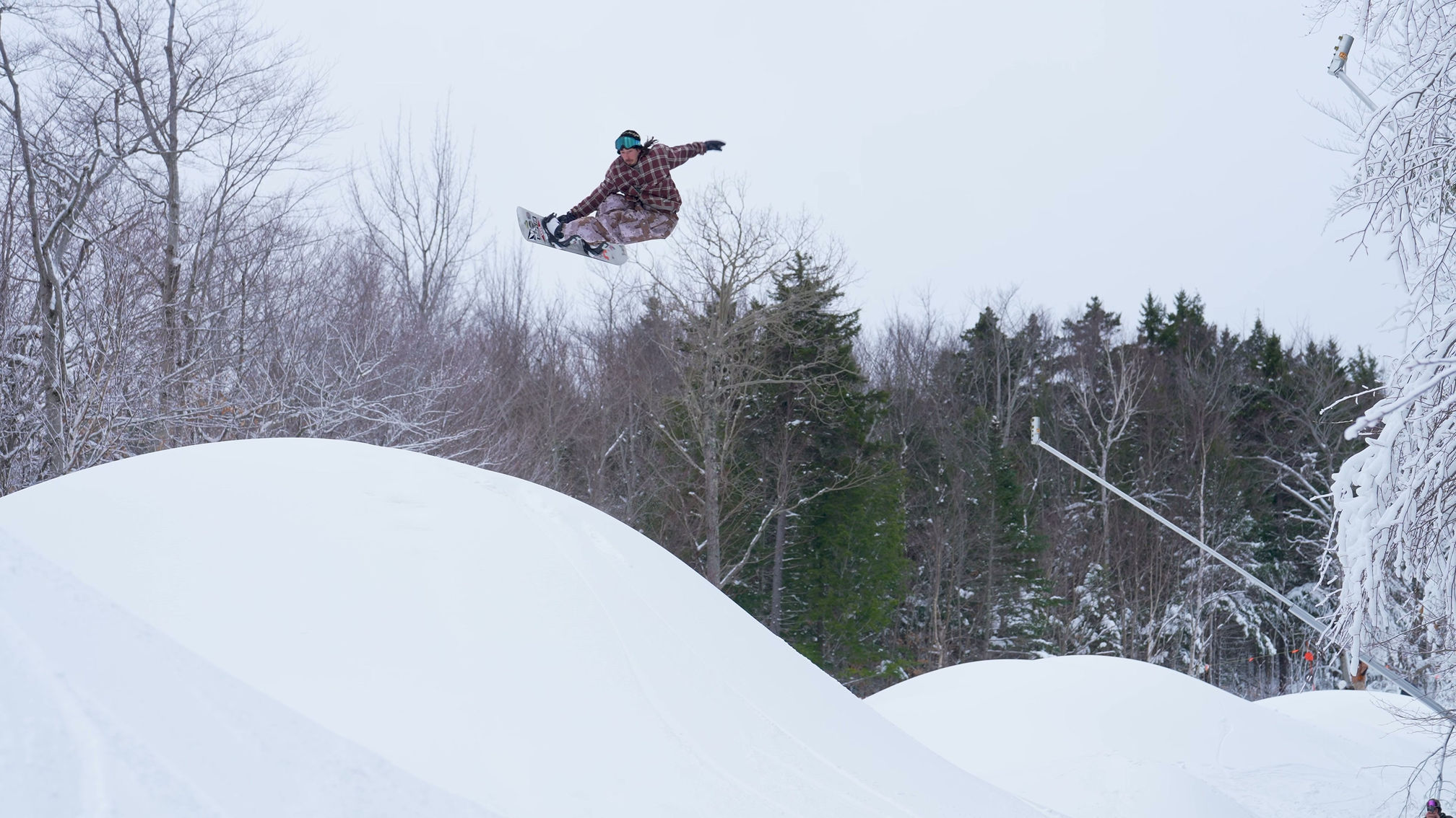 Whale Watching with Mike Ravelson | Loon Parks